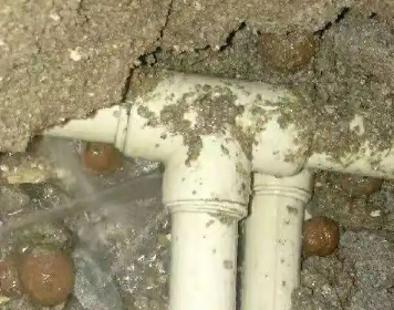 爱民测漏水多少钱