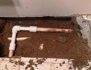 爱民测漏水哪家好