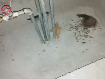 爱民卫生间测漏水价格明细