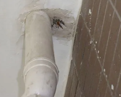 爱民漏水检测哪家好